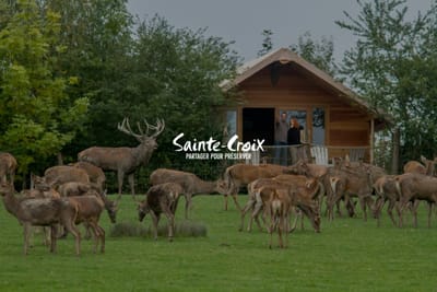 Parc de Sainte-Croix - Publicité en ligne