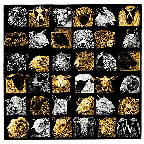 Gold Sheep Group cover