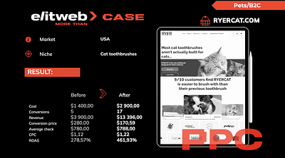 RYERCAT Success: Higher Conversions & Revenue - Advertising