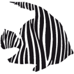 Zebrafish