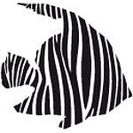 Zebrafish