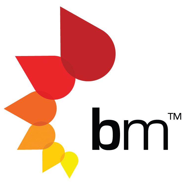 Brainmates