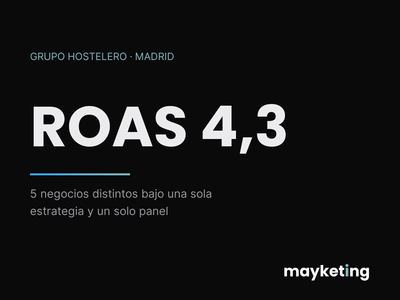 ROAS 4,3 gestionando 5 negocios bajo una sola estrategia - Online Advertising