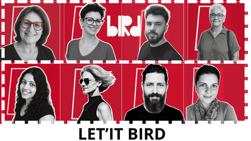 Bird Comunicação cover