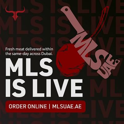 MLS - CASE STUDY - F&B - ECOM - SEO