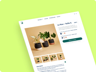 Création d’un site e-commerce pour le Paw - Création de site internet