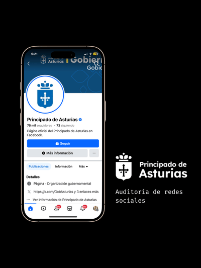 Consultoría de Redes Sociales - Gobierno del Principado de Asturias - Marketing