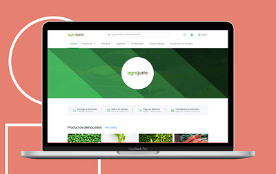 Agrojusto | UX/UI - Creazione di siti web