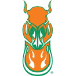 Cosaint Cyber LLC