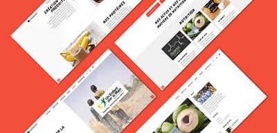 Corgenic / Site e-commerce - E-commerce