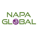 NAPA Global | IT Services and Consulting logo