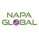 NAPA Global | IT Services and Consulting