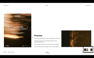 205 Positioning Campaign - Branding & Positioning