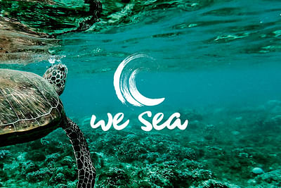 We Sea: Web - Creación de Sitios Web