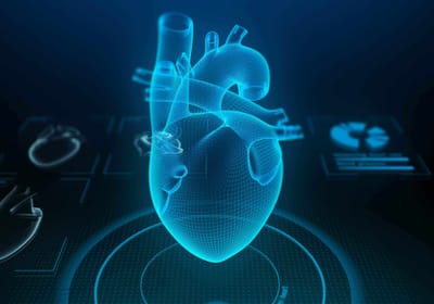 Heart Failure Diagnostics - Data Consulting