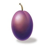 Plum Design & Advertising Ltd