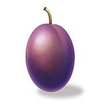 Plum Design & Advertising Ltd
