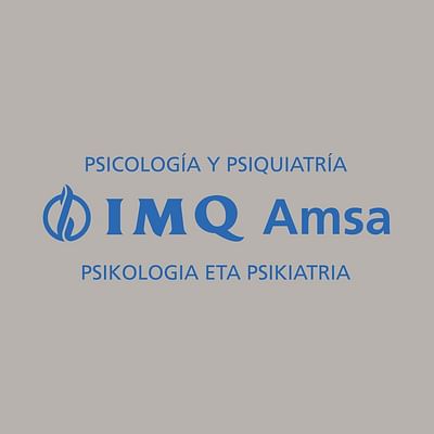 IMQ Amsa - Publicidad Online