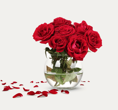 FlowerWatch Online marketing & social media - Webseitengestaltung