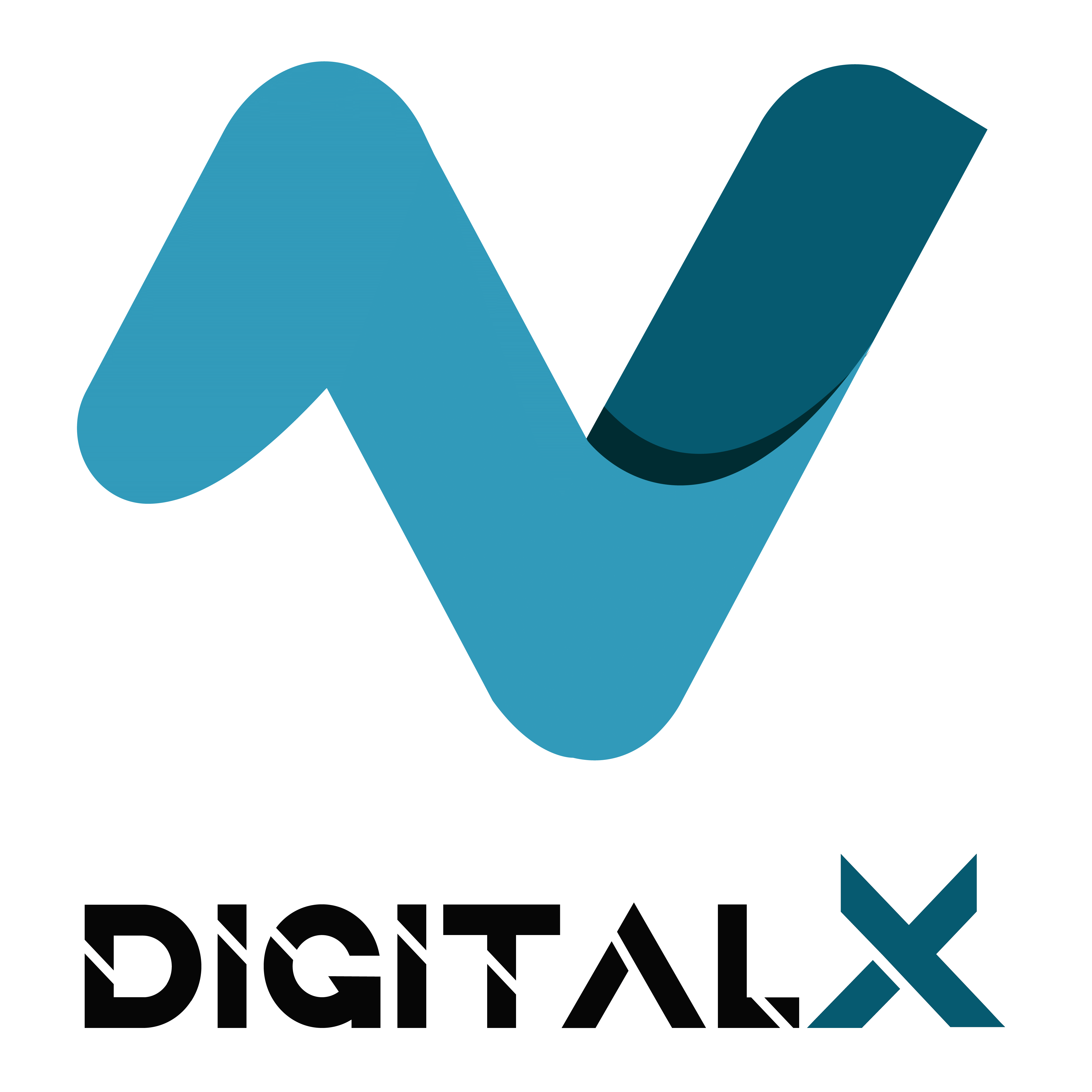 VDigitalX