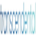 Transcendental Agency logo