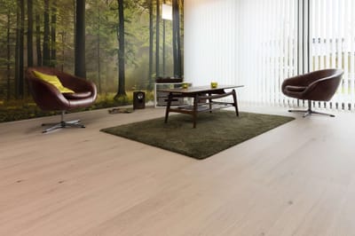 Awareness & store visits for Santana - Référencement naturel