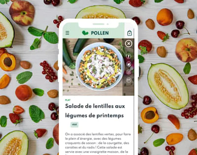 Création du site e-commerce Pollen - Diseño Gráfico