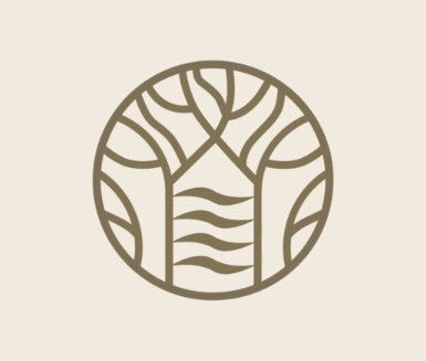 WALD.WEIT: Corporate Design & Markenauftritt - Webseitengestaltung
