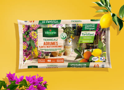 Vilmorin - Grafikdesign