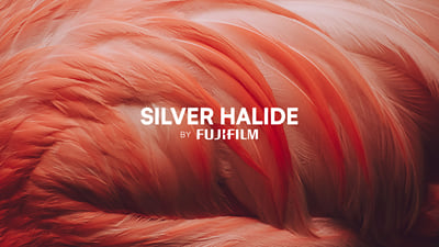 Silver Halide by FUJIFILM - Print