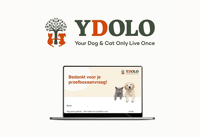 Meer omzet voor YDOLO met e-mailmarketing - E-mail Marketing