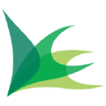 BCC FFM logo