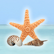 Marand Travel Services