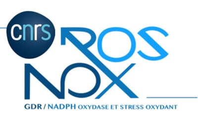 CNRS NOXROS Corporate Seminar in Marrakech - Event