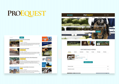 ProEquest - Worldwide Equestrian Marketplace - Webseitengestaltung