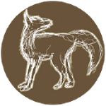 Liberty Fox Web Design