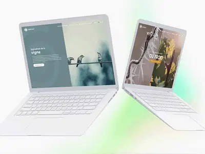 Création de site internet et catalogue produit - Création de site internet