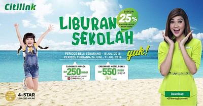 Performance Marketing for National Airline Brand - Webanalytik/Big Data