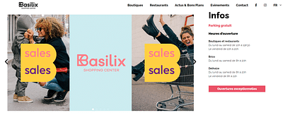 Website & content Basilix - Website Creation