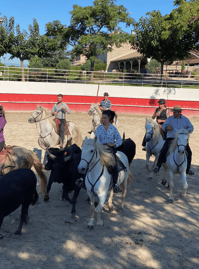 Journée d'entreprise en Camargue - Evénementiel