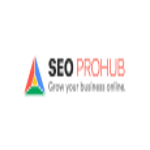 SEO ProHub