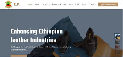 Ethiopian Leather Industries Association - Website Creation