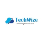 TechWize logo