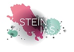 Stein IAS