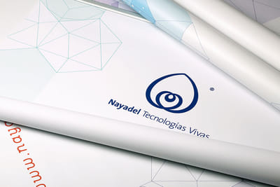 NAYADEL - Conexiones - Aplicación Web