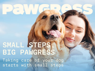 Pawgress - Image de marque & branding