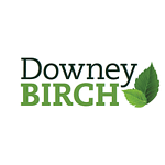 Downey Birch