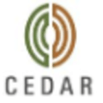 Cedar Management Consulting International logo