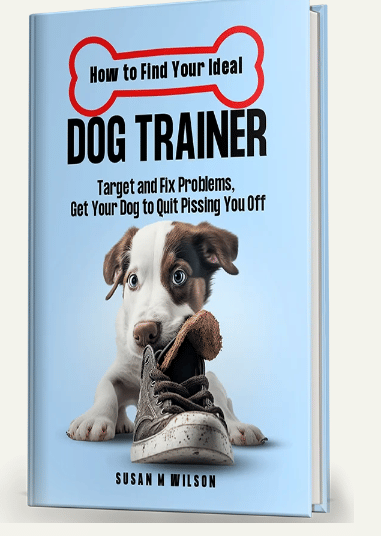 Book Cover Design - Graphic Design