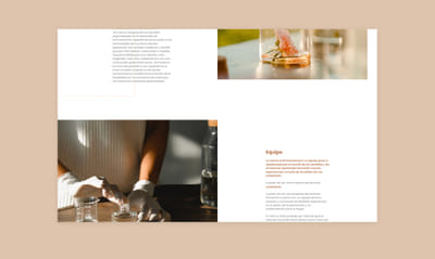 Alza Fragrances Ecommerce - Creación de Sitios Web